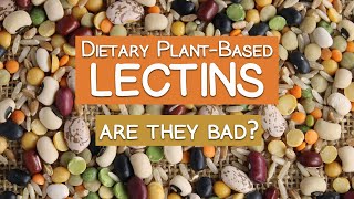 Dietary PlantBased Lectins Explained  Are They Bad [upl. by Sabanrab]