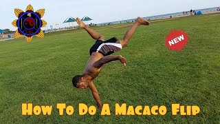 How To Do A Macaco Flip Capoeira [upl. by Neehahs728]