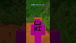 i set the minecraft record speedrun [upl. by Arral]