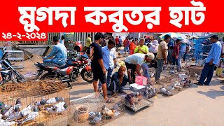 মুগদা কবুতর হাট ২৪২২০২৪  kobutor hat 2024  pigeon market in bangladesh  Mugda kobutor hat [upl. by Akinnej817]