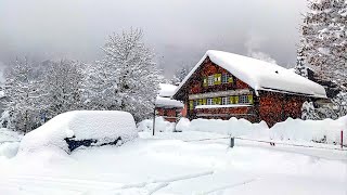 Heavy snowfall in Klosters ❄️ Switzerland 4K 🇨🇭 [upl. by Htebyram]