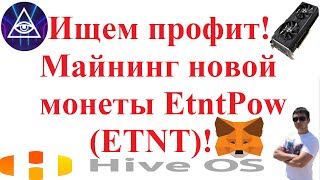 Ищем профит Майнинг новой монеты EtntPow ETNT [upl. by Einallem]