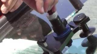 How the real pros fix repair a windshield [upl. by Nnahs980]