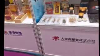 Canton Fair October 2016  Phase 3  Guangzhou China [upl. by Nyliret]