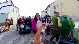 Faschingsumzug 2013 Burgau [upl. by Ellenrad89]