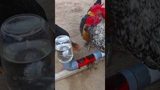 how to make homemade chicken feeders chickenfeeder chickendrinker comederoybebedero [upl. by Iror]