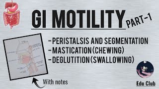 GI Motility Part  1  Chewing Reflex  Deglutition  Gastrointestinal Physiology [upl. by Lindly]