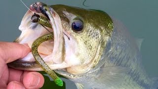 Jerkbaits to Finesse Fishing  Unlocking the Bass Pattern at Loch Raven Reservoir [upl. by Anon832]