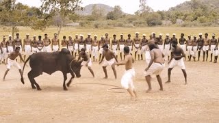 Ferocious Jallikattu Scene from Ilami showing the Intensity of Tradition  2016 Kollywood Movie [upl. by Patnode739]