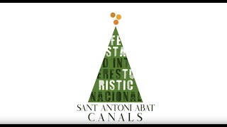 Festes Patronals a Sant Antoni Abat de Canals declarades dInterés Turístic Nacional [upl. by Kilan]