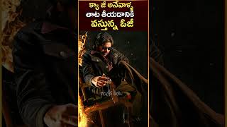 Pawan Kalyan OG Trailer  Pawan Kalyan OG Release Date  Facts Bow [upl. by Curtis]