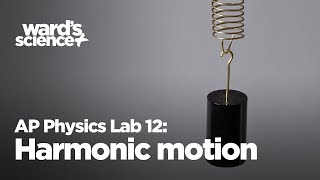 AP Physics Lab 12 Harmonic Motion in a Spring [upl. by Anauqaj]