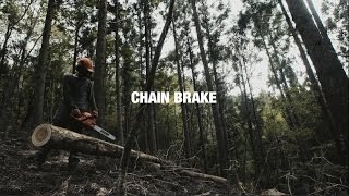 See how an ECHO chainsaws Chain Brake works [upl. by Ayekahs559]