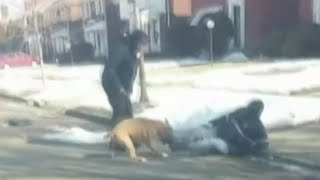 Man who rescued postal worker from dog attack in Detroit shares his story [upl. by Aubrette501]