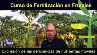 Identificando las deficiencias de Nitrógeno Potasio y Magnesio Curso de Fertilización en Frutales [upl. by Phillane]