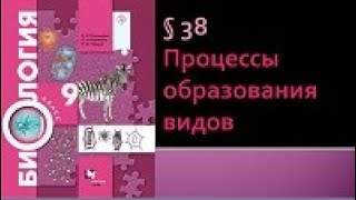 Биология 9 класс Процессы образования видов [upl. by Esmond866]