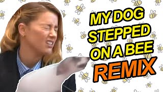 My Dog Stepped On a Bee Remix [upl. by Clapp377]