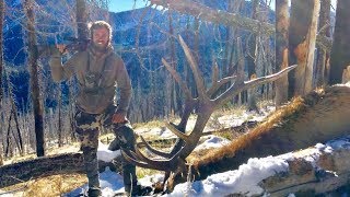 AMAZING Idaho Elk hunt  S3E05  Limitless Outdoors [upl. by Wulfe]