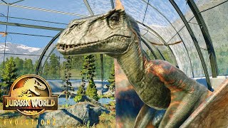 Species Field Guide Dimorphodon  Jurassic World Evolution 2 [upl. by Eelanna625]