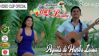 AMOR PAISANOðŸŒŸAGÃœITA DE HIERBA LUISA ESTRENO 2018 VIDEO CLIP OFICIAL RONEP PRODUCCIONES HD [upl. by Ydrah425]