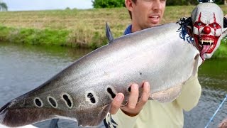 Fishing for the RAREST Freshwater Fish in the States ft BlacktipH amp Scott Martin [upl. by Eekcaj]