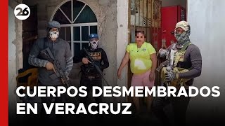 MÉXICO  ¿Quién está detrás de los cuerpos desmembrados en Veracruz [upl. by Medardas]