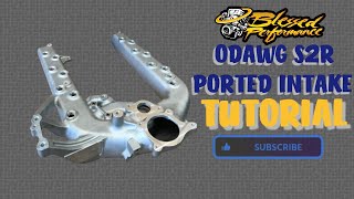 Blessed PerformanceS2R ODAWG PORTED INTAKE Tutorial [upl. by Domash]