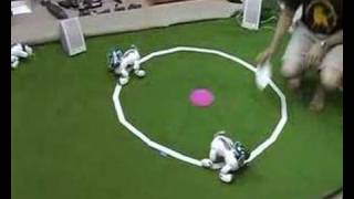 Juego de las sillas con AIBO [upl. by Jazmin]