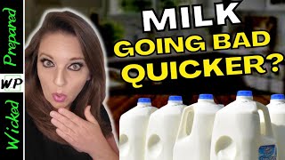 Prepper Pantry Haul  Whats Going on With Our Milk  Prepping for SHTF 2023 [upl. by Noillimaxam]