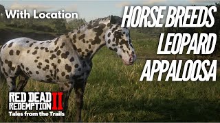 Red Dead Redemption 2 Horse Breeds Leopard Appaloosa with live gameplay map location [upl. by Adnotal890]