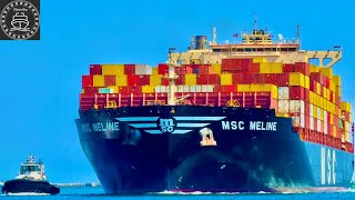 SHIPSPOTTING LOS ANGELES 4K CONTAINER SHIPS AND TANKERS  August 2024 [upl. by Dadelos]