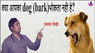 Dog Barking Problem ll Must see II dog and vet II [upl. by Thad]