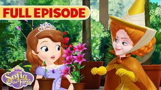 Make Way for Miss Nettle  S1 E16  Sofia the First  Full Episode  disneyjr [upl. by Nonarb]