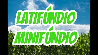 LATIFÚNDIOS E MINIFÚNDIOS QUAIS AS DIFERENÇAS  EF07GE06 [upl. by Adria]