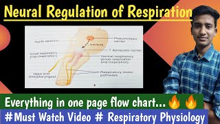 Neural Regulation of Respiration Respiratory Physio hindi Ashish Agrawal [upl. by Yelats]