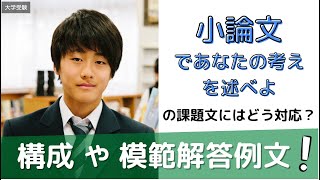 小論文 あなたの考えを述べよ 構成や模範解答例を公開します！ [upl. by Khudari]