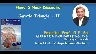 9 Carotid triangle 2 [upl. by Cordell]