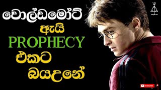 Prophecy එක ගැන හැමදෙයක්ම  Harry Potter Prophesy Explained [upl. by Giraldo]