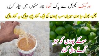 Best orgenic liquid fertilizer for plants  Homemade free fertilizer [upl. by Sorenson228]