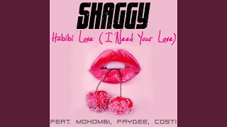 Habibi Love I Need Your Love [upl. by Rockie]