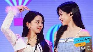 michaeng moments  rose [upl. by Rufe]