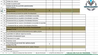 DSF  Comment monter une DSF états financiers OHADA partie 33 [upl. by Kellie]