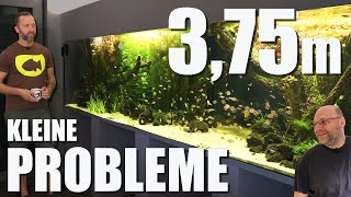 Massives Pflanzenwachstum Pinselalgen und Cyanos  Update von Jochens 3600 Liter Süßwasseraquarium [upl. by Anina619]