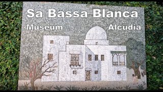 Sa Bassa Blanca Museum  Alcudia  Mallorca  Majorca  15th March 2024 [upl. by Anaizit]