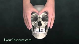 Biodynamic Craniosacral Therapy The Hard Palate  Orbital Hold [upl. by Iznil91]