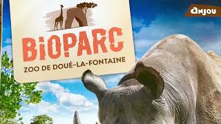 ZOO DE DOUE LA FONTAINE [upl. by Flavian]