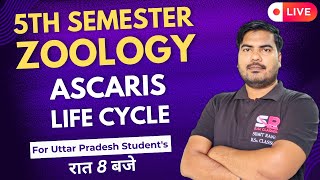 Lt17 Life Cycle In Ascaris  5th Semester Zoology Paper  01  Sumit Rana Sir [upl. by Fraze]