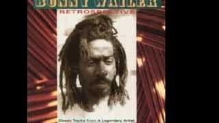 BUNNY WAILER  Soul Rebel Retrospective [upl. by Perrins]