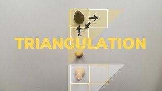 Triangulation  Chess Endgames [upl. by Ardnekal]