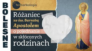 Różaniec Teobańkologia ze św Barnabą Apostołem o pojednanie w skłóconych rodzinach 501 Piątek [upl. by Hollerman683]